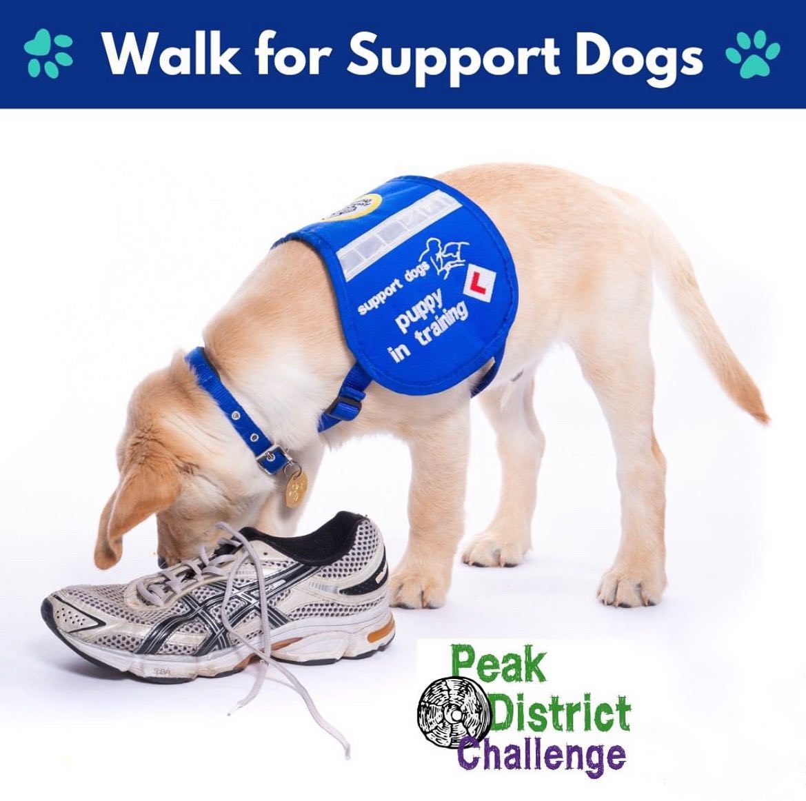 This Charity Tuesday we're celebrating @supportdogsuk who are joining the Peak District Challenge...